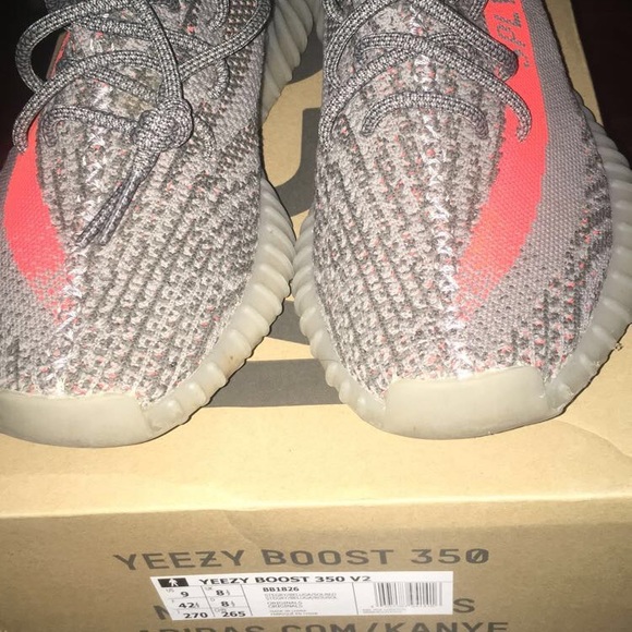 Yeezy Belugas - Picture 1 of 5